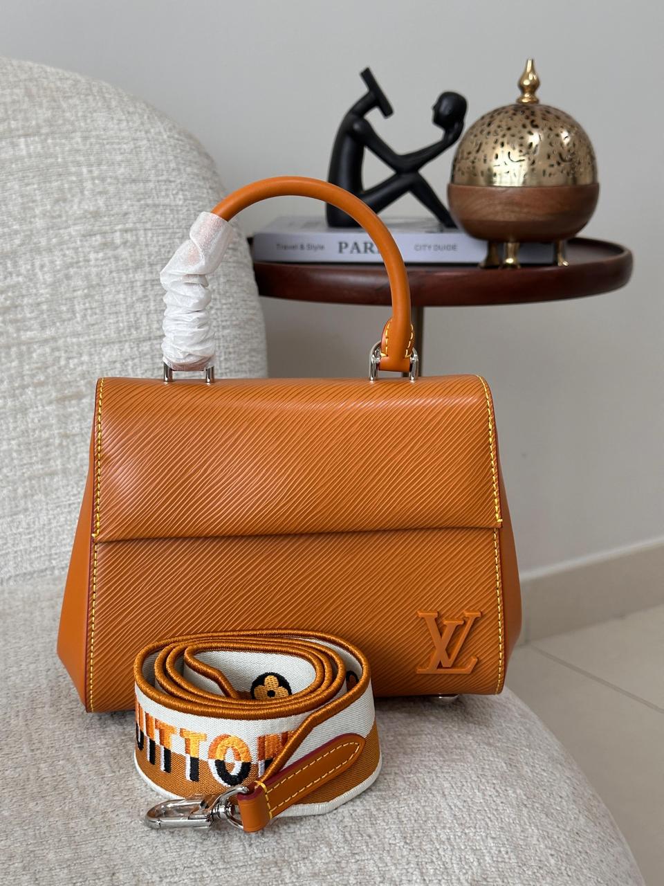 LOUIS VUITTON CLUNY MINI HANDBAG